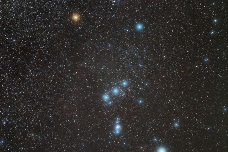 Orion